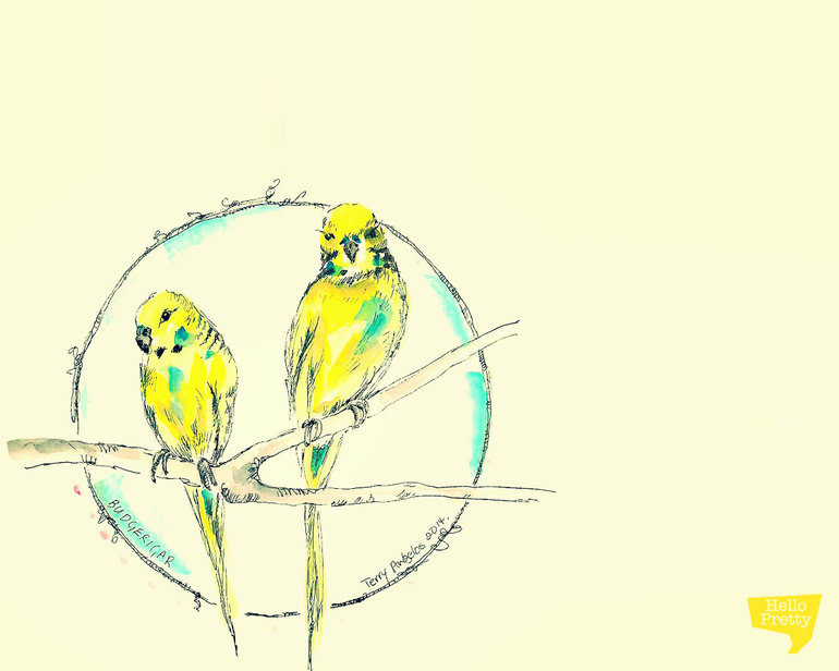 #WDC2014 Desktop Wallpapers! - part 3 with Terry Angelos